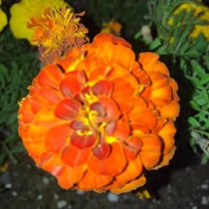 Meet your Posher, Andre